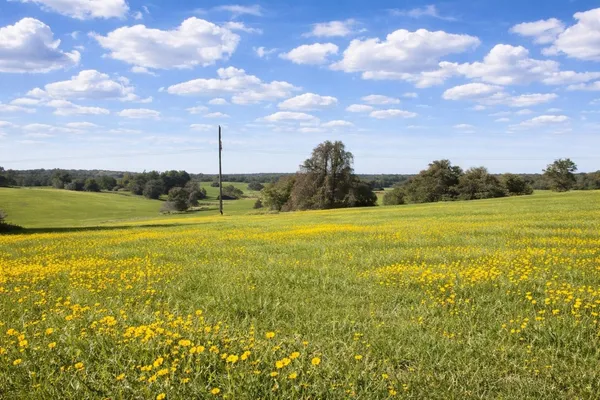 $474,000 | 0 West W Cr, Buffalo, TX 75831