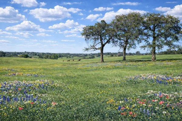 $474,000 | 0 West W Cr, Buffalo, TX 75831