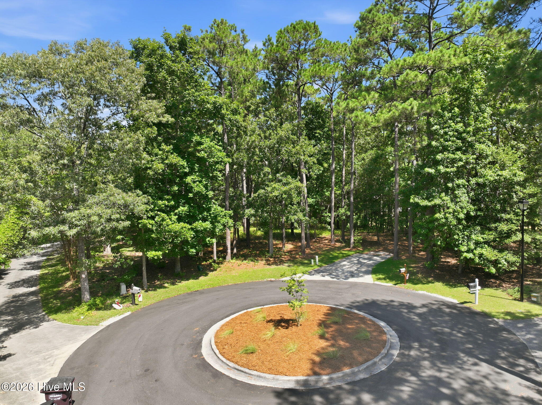 123 White Swan Way Road Swansboro, NC 28584 - Photo 7 of 17 View from Cul De Sac