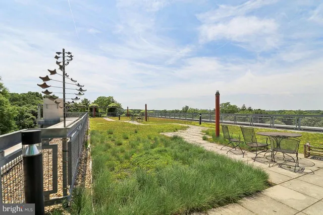 a view of a lake with a garden