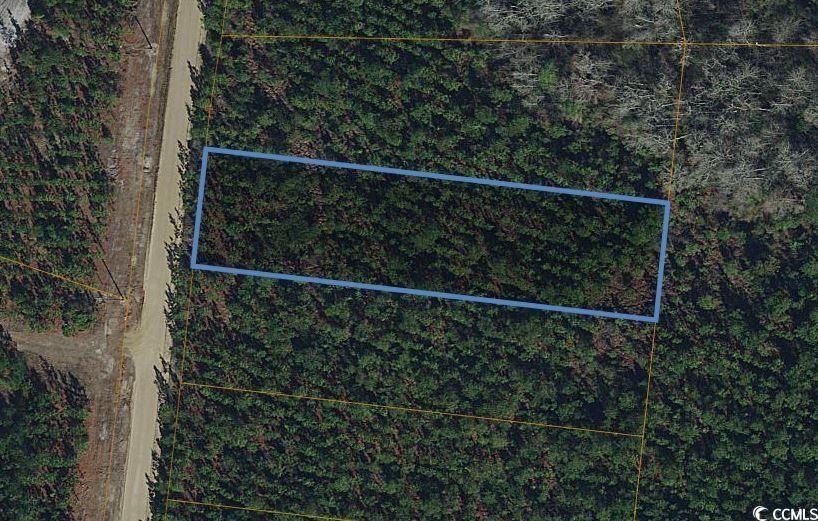 1925 Barts Road Loris, SC 29569 - Photo 2 of 4 Gallery Image 2