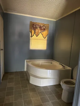 a bathroom with a toilet and a tub