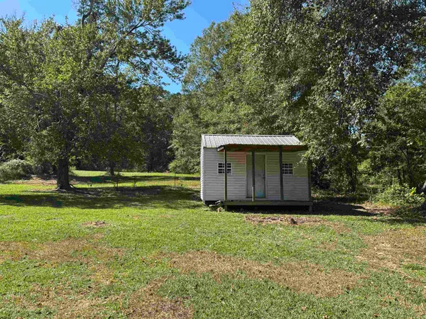 a view of backyard with large trees
