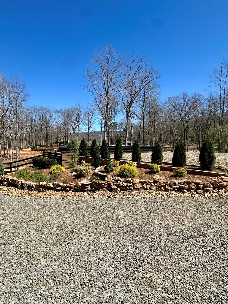 554 Tipton Springs Road Morganton, GA 30560 - Photo 38 of 74