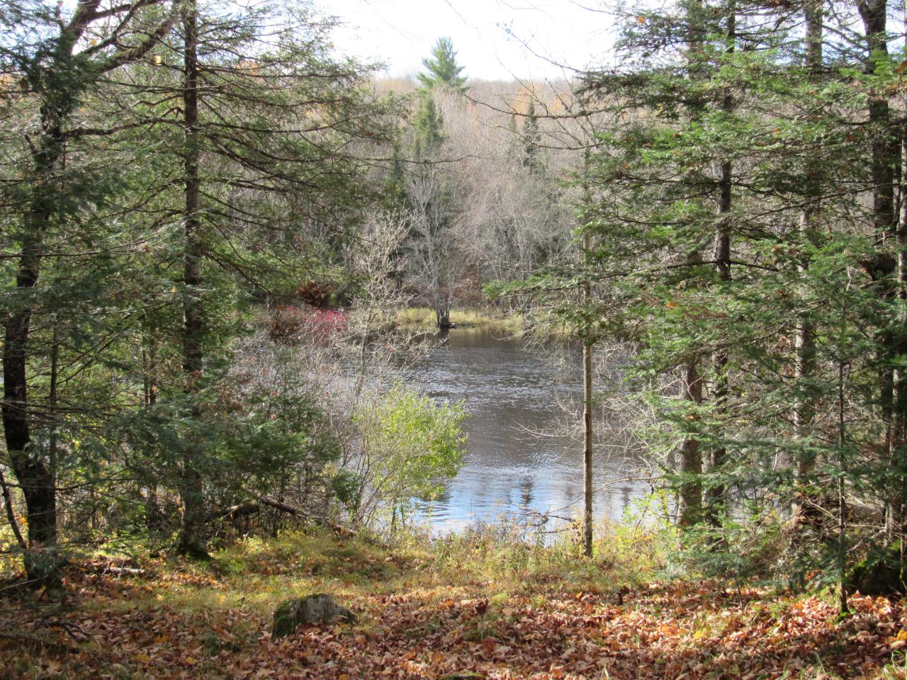 On Sheltrow Road, Unit LOT 4 Crystal Falls, MI 49920 - Photo 10 of 16 Gallery Image 10