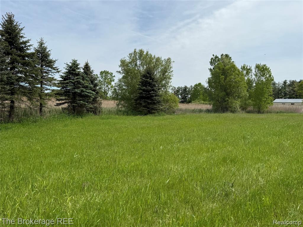 3020 Merwin Road Lapeer, MI 48446 - Photo 24 of 33