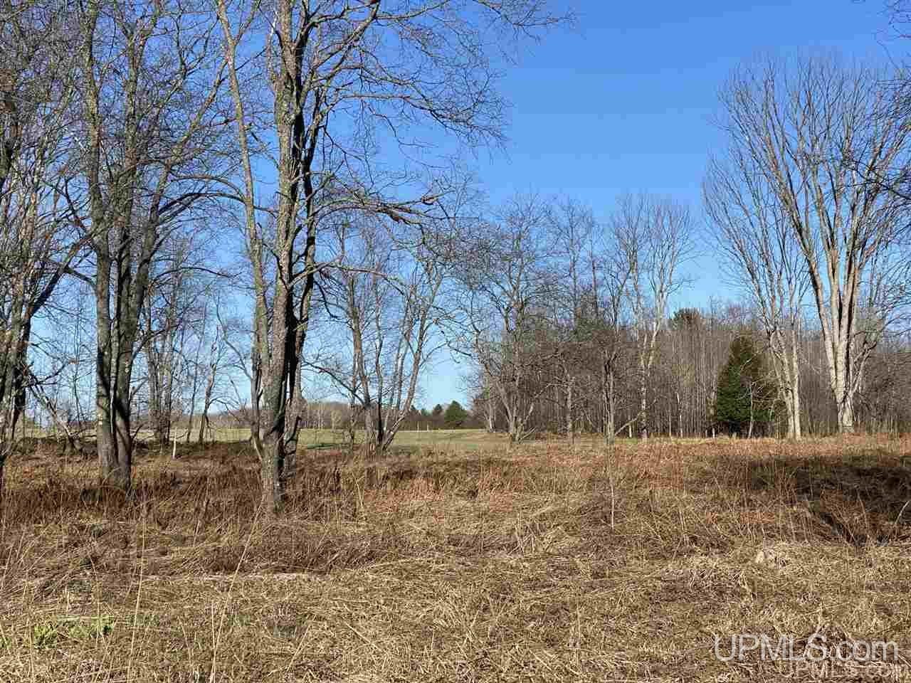 Tbd Advent Road Cooks, MI 49817 - Photo 6 of 27