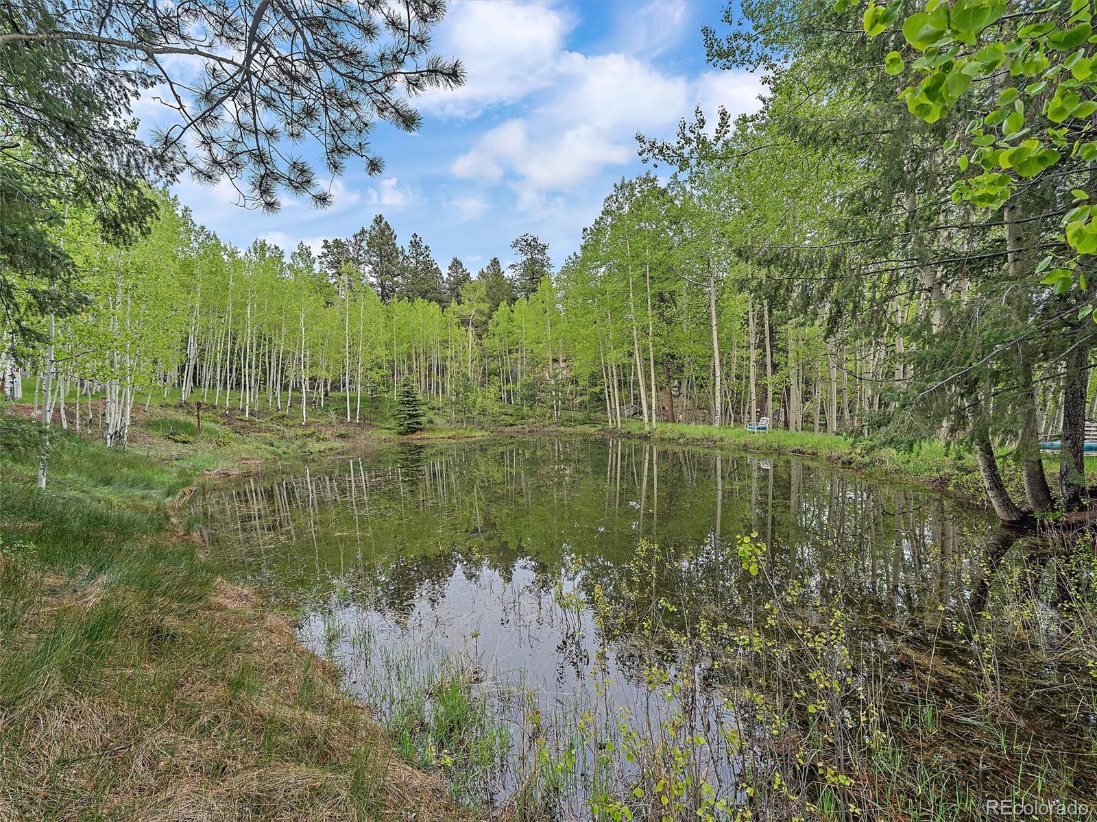 30559 Rand Road Conifer, CO 80433 - Photo 32 of 38 Gallery Image 32