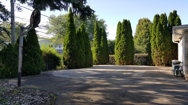 356 West Millers Road Des Plaines, IL 60016 - Photo 12 of 12