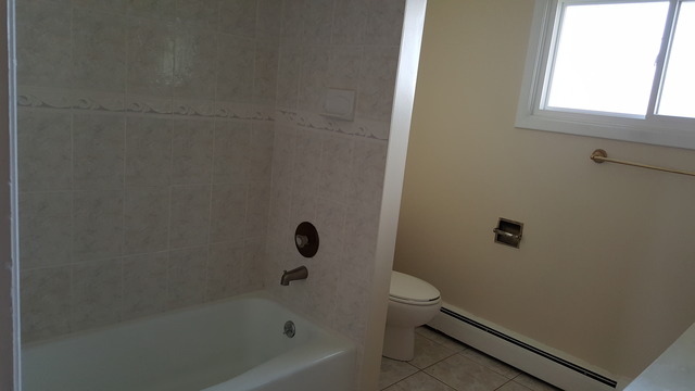 356 West Millers Road Des Plaines, IL 60016 - Photo 5 of 12