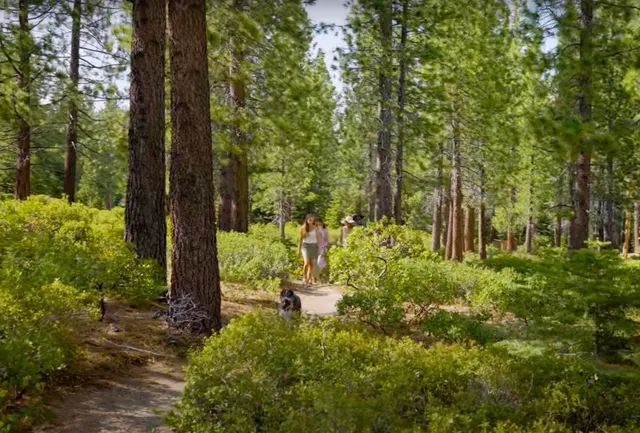 $30,000,000 | 8901 Rubicon Drive, Tahoma, CA 96142