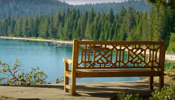 $30,000,000 | 8901 Rubicon Drive, Tahoma, CA 96142