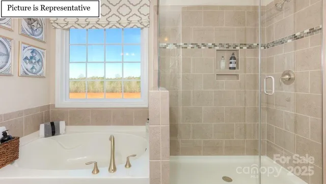 a bathroom with a bathtub and a shower