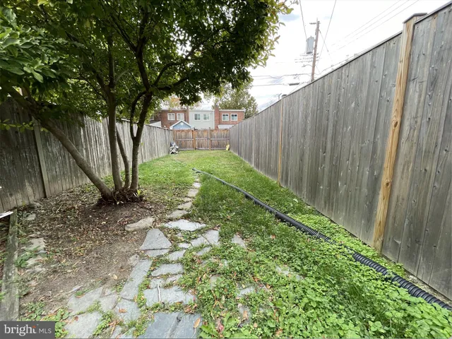 a view of backyard with potted plants and large tree