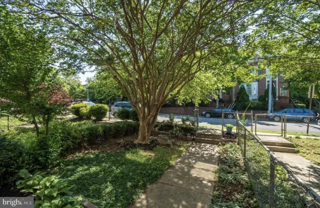 a view of backyard with large trees and outdoor seating