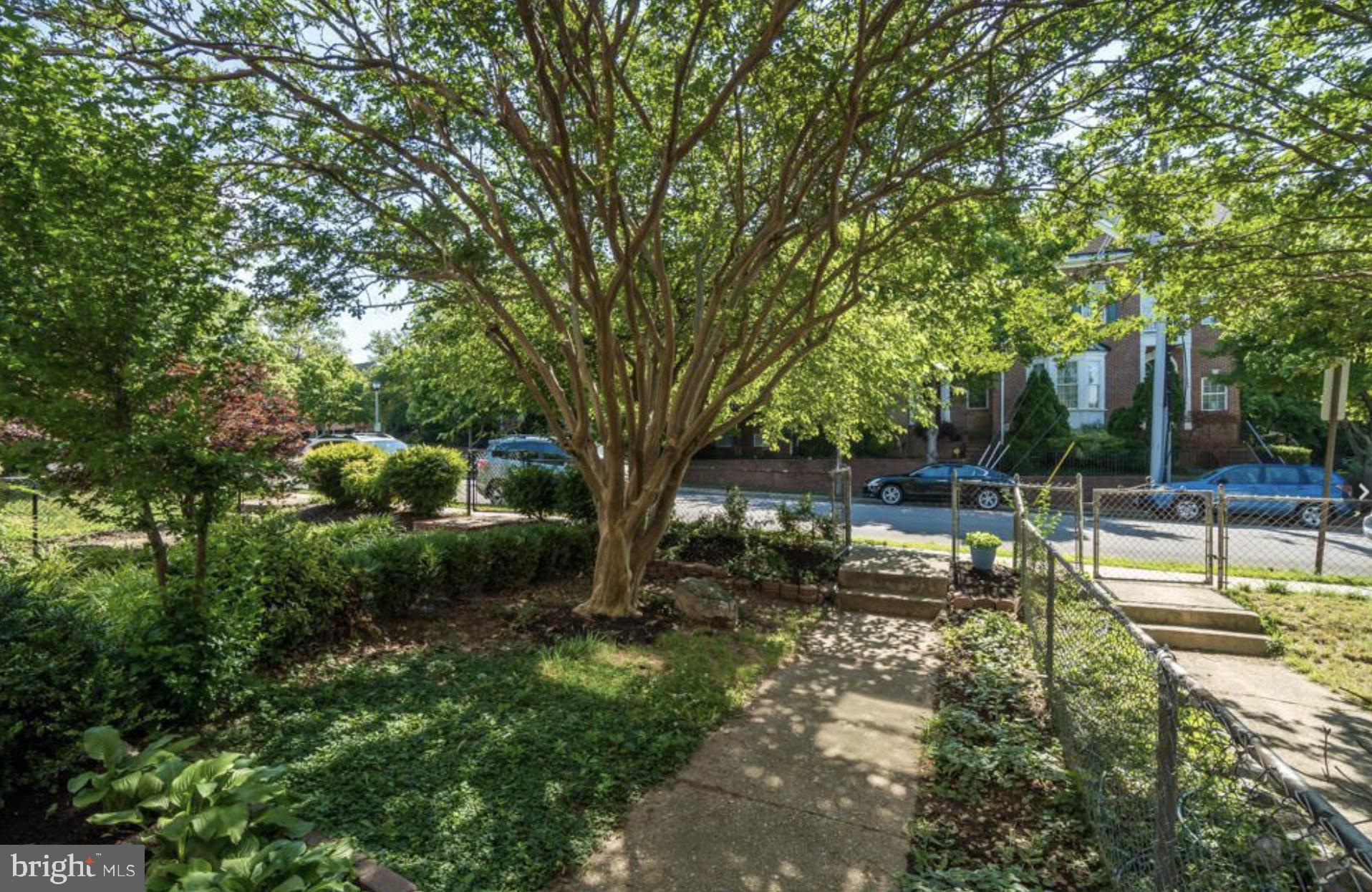 507 South Fayette Street Alexandria, VA 22314 - Photo 2 of 13 Lush, fenced front yard.