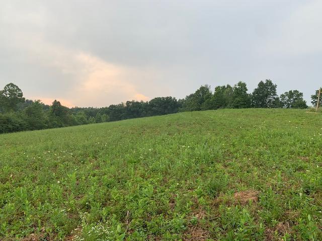 706 Montgomery Road Wellington, KY 40387 - Photo 15 of 20 IMG_4246