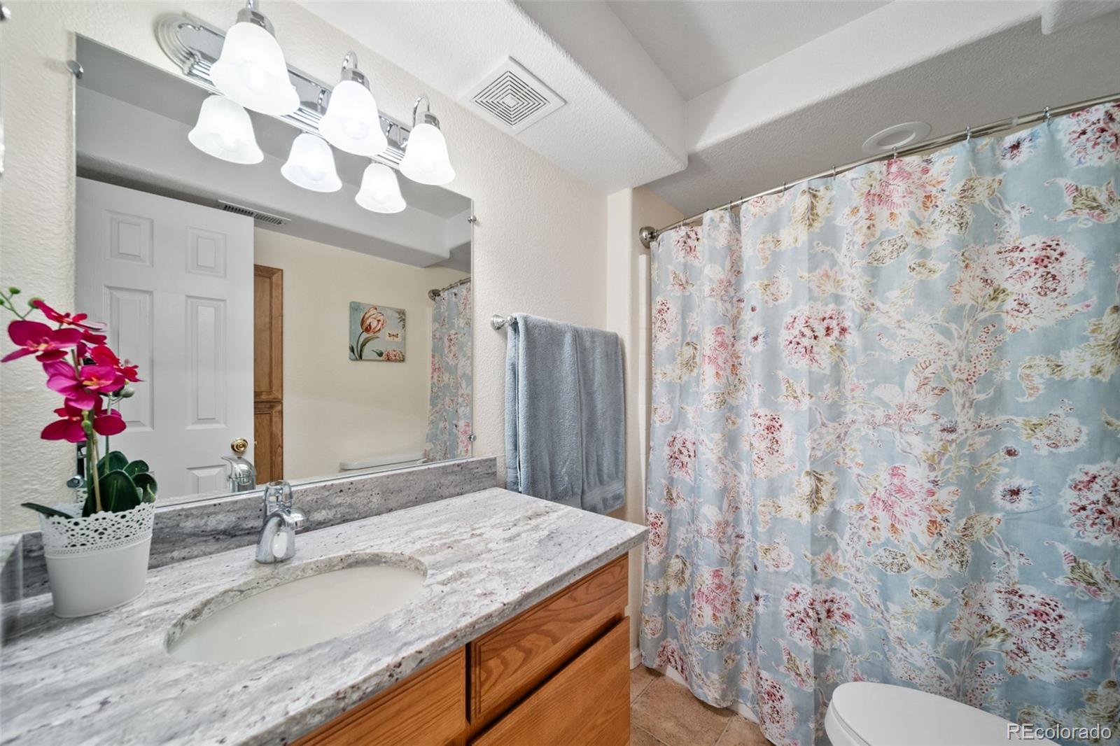 9928 Sylvestor Road Highlands Ranch, CO 80129 - Photo 29 of 41 Gallery Image 29