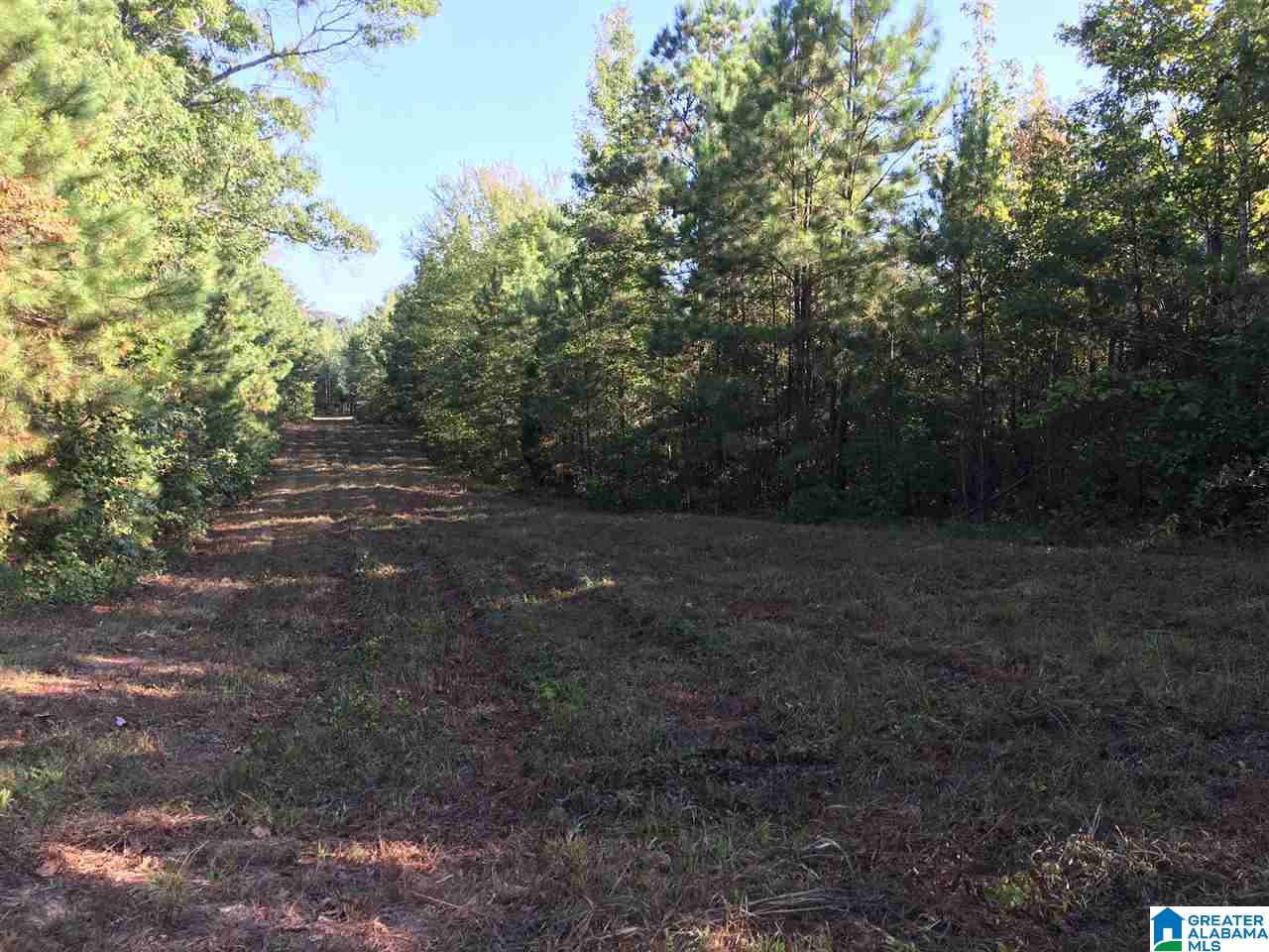 220 Gant Road, Unit 106 AC Pell City, AL 35128 - Photo 22 of 23