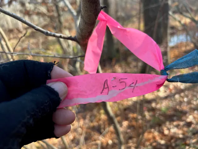 $799,900 | 9 Bowley Road, East Kingston, NH 03827