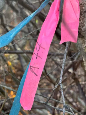 $799,900 | 9 Bowley Road, East Kingston, NH 03827