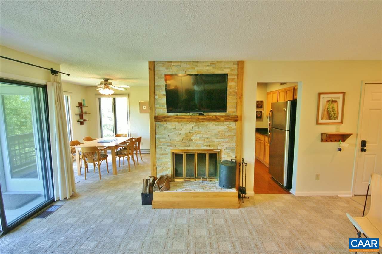 3214 North Ridge Roseland, VA 22967 - Photo 4 of 17 Beautiful Stone Fireplace, Flatscreen