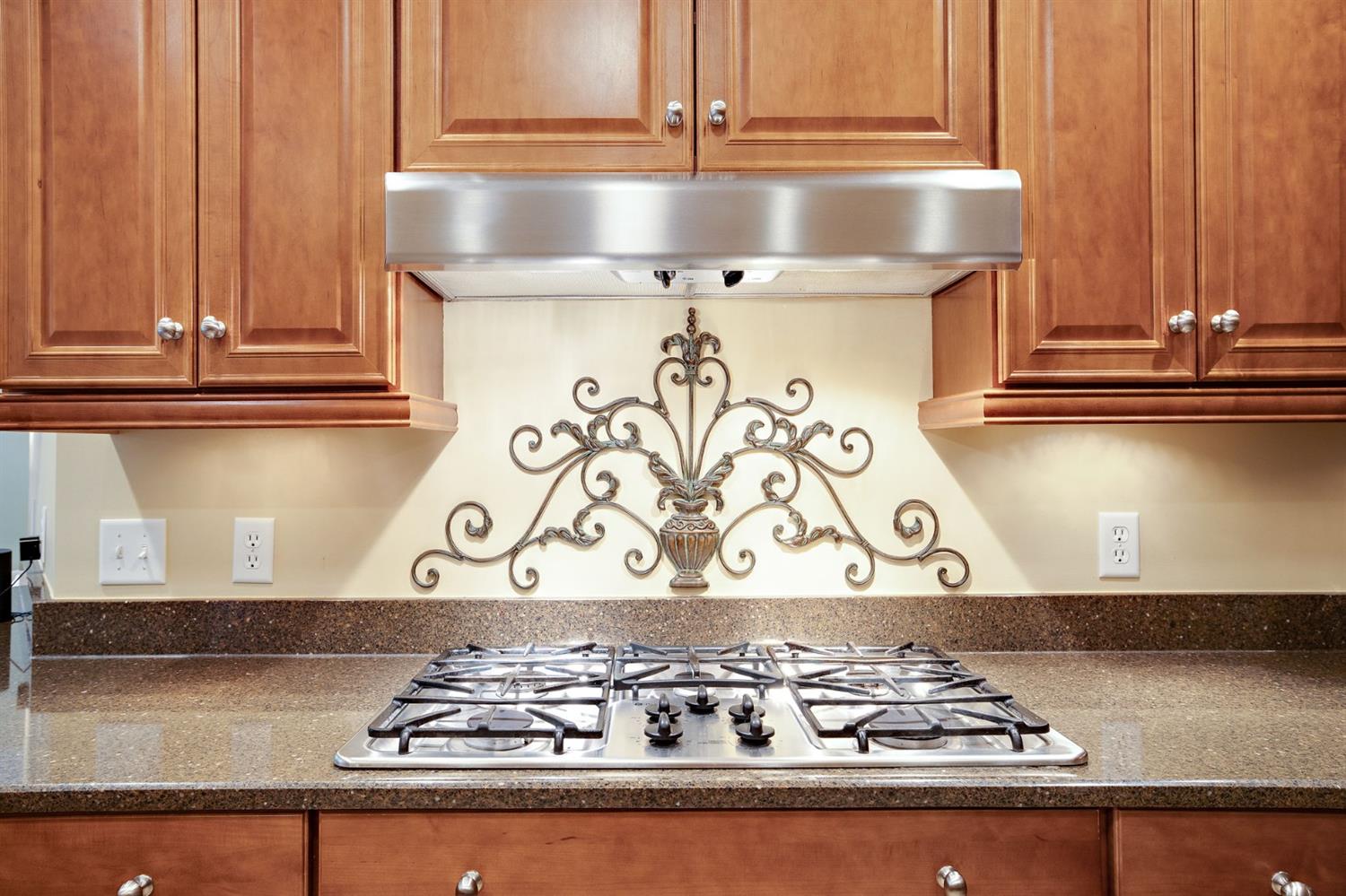 689 George Cohan Court Crown Point, IN 46307 - Photo 18 of 56 1500x999