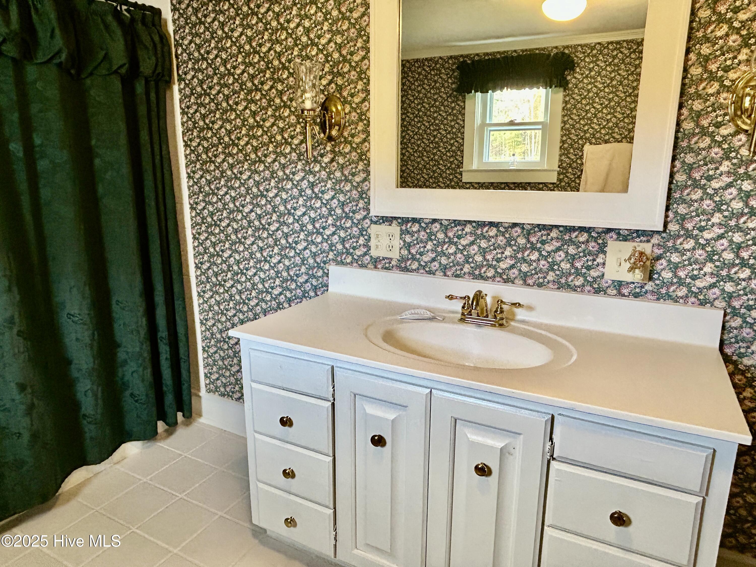 248 Highway 305 Windsor, NC 27983 - Photo 30 of 57 downstairs bath vaniety