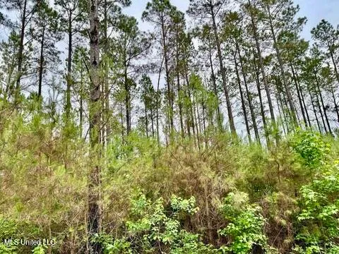 $99,500 | 19 Mount Carmel Road, Bailey, MS 39326