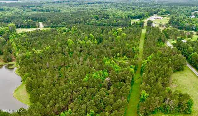 $99,500 | 19 Mount Carmel Road, Bailey, MS 39326