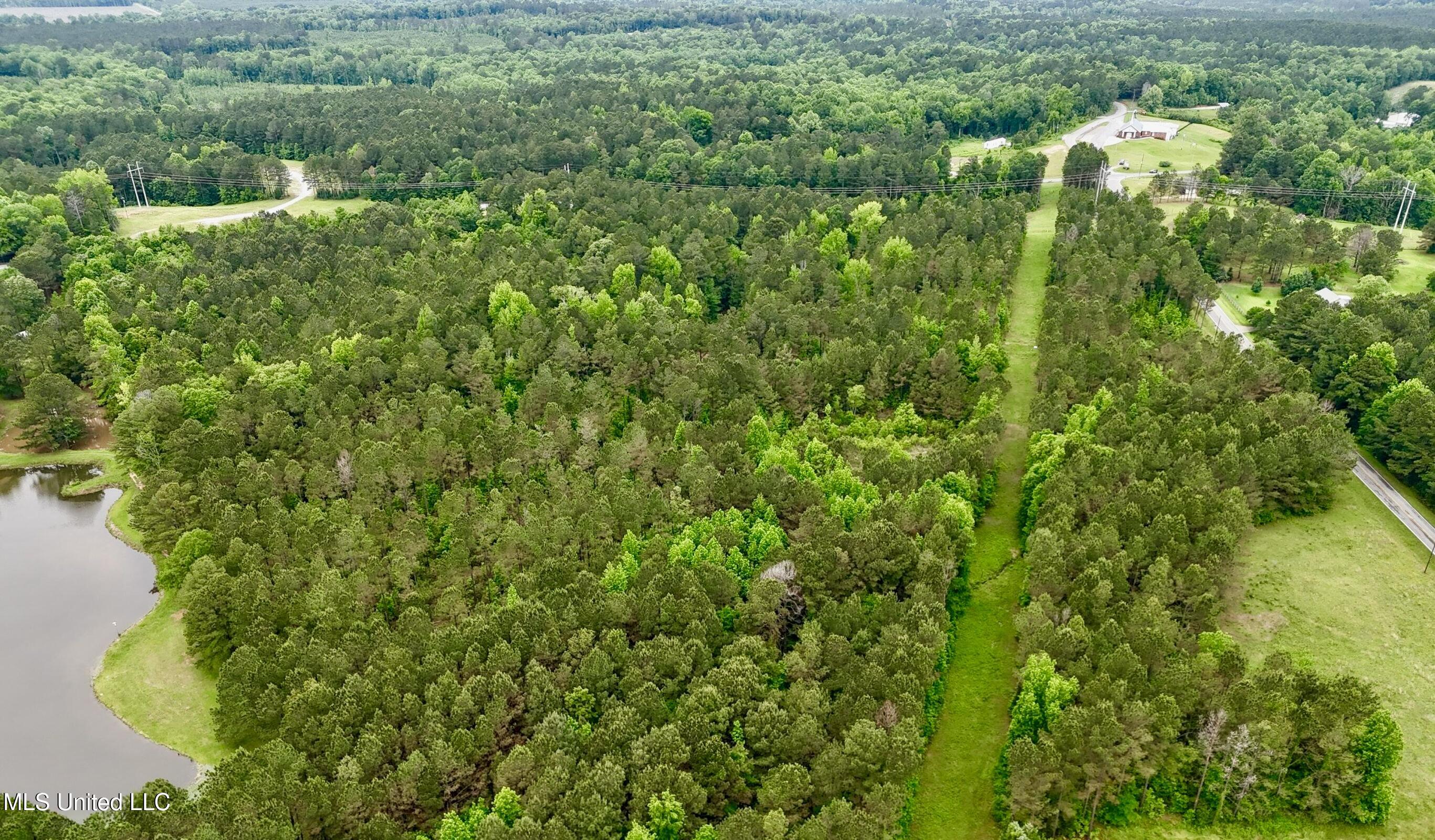 19 Mount Carmel Road Bailey, MS 39326 - Photo 12 of 26 F2B11575-0856-4208-B9DC-4AB97F0F147A_1_2