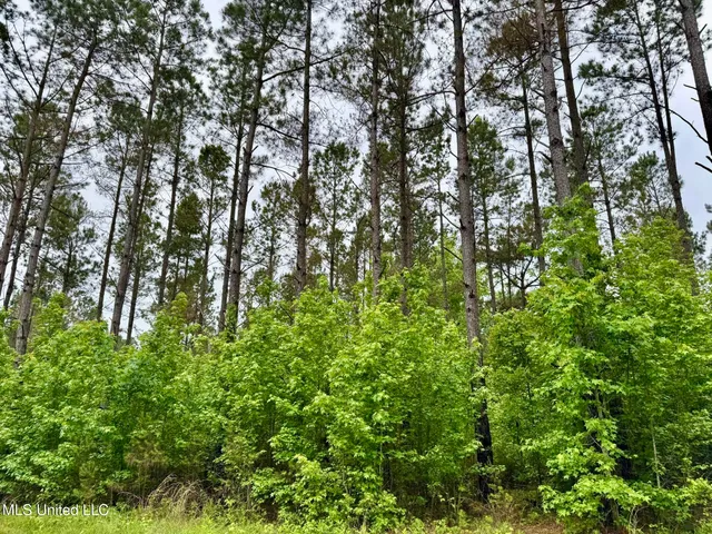 $99,500 | 19 Mount Carmel Road, Bailey, MS 39326
