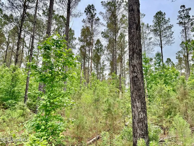 $99,500 | 19 Mount Carmel Road, Bailey, MS 39326