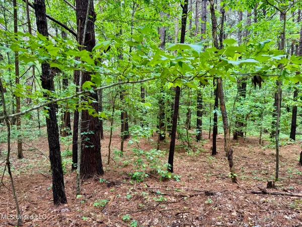 $89,550 | 19 Mount Carmel Road, Bailey, MS 39326