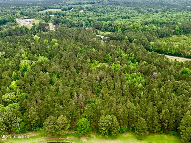 $99,500 | 19 Mount Carmel Road, Bailey, MS 39326