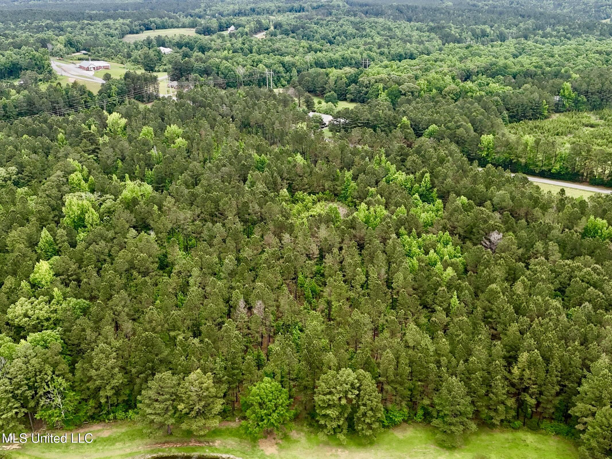 19 Mount Carmel Road Bailey, MS 39326 - Photo 16 of 26 9BDAD94E-4ECF-4A1C-9304-EBF41C4ECAFE_1_2