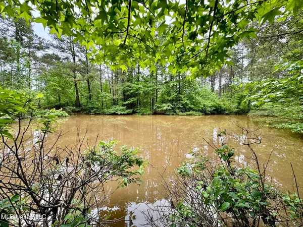 $89,550 | 19 Mount Carmel Road, Bailey, MS 39326