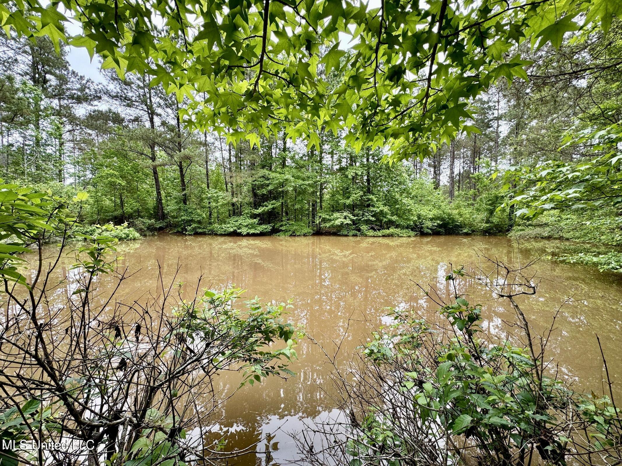 19 Mount Carmel Road Bailey, MS 39326 - Photo 17 of 26 B984E3B1-FBE9-49A0-B8E9-AE237E2232DF_1_2