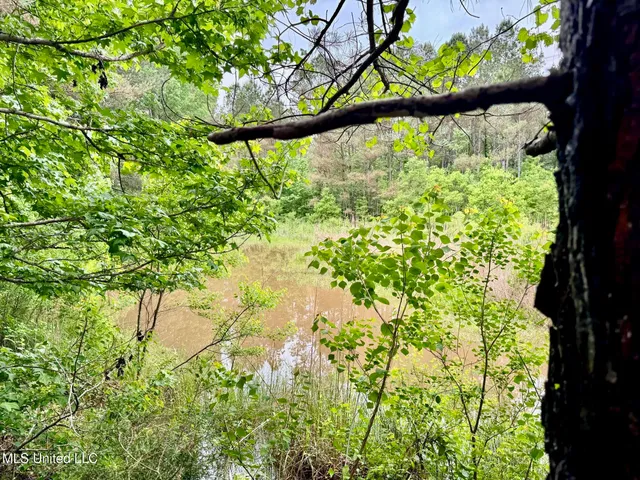 $99,500 | 19 Mount Carmel Road, Bailey, MS 39326