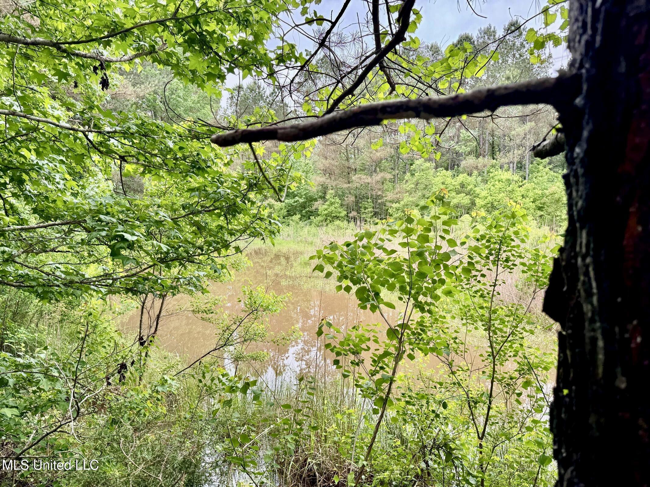 19 Mount Carmel Road Bailey, MS 39326 - Photo 18 of 26 C2F5D3B7-9DAE-435F-9DBD-B65B871C7819_1_2