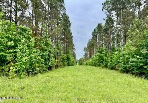 $89,550 | 19 Mount Carmel Road, Bailey, MS 39326