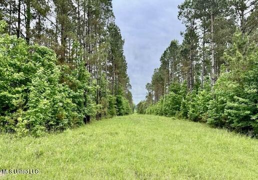 19 Mount Carmel Road Bailey, MS 39326 - Photo 20 of 26 8797787F-D7EA-4B73-9B77-D2C8DC2F3D1B_4_5