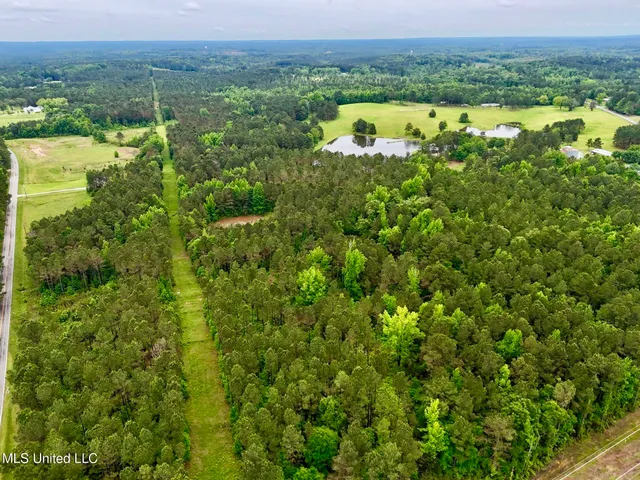 $99,500 | 19 Mount Carmel Road, Bailey, MS 39326