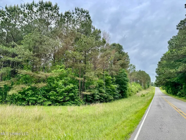 $99,500 | 19 Mount Carmel Road, Bailey, MS 39326