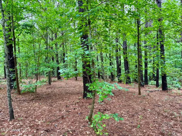 $89,550 | 19 Mount Carmel Road, Bailey, MS 39326