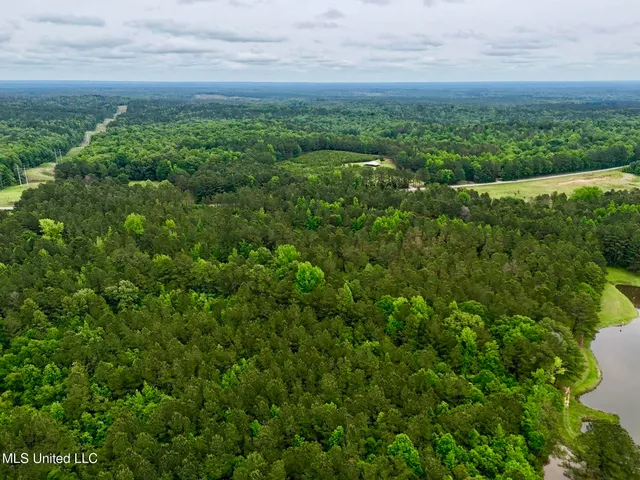 $99,500 | 19 Mount Carmel Road, Bailey, MS 39326