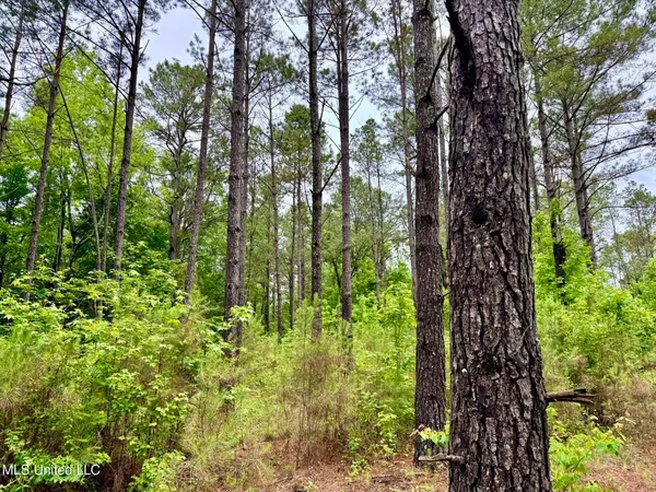 $89,550 | 19 Mount Carmel Road, Bailey, MS 39326