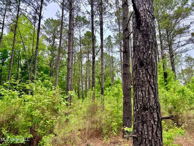 $99,500 | 19 Mount Carmel Road, Bailey, MS 39326