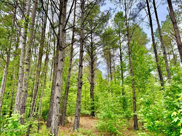 $99,500 | 19 Mount Carmel Road, Bailey, MS 39326