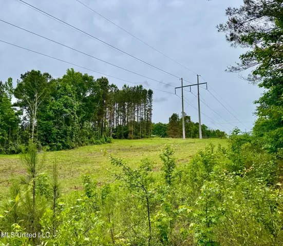 $99,500 | 19 Mount Carmel Road, Bailey, MS 39326